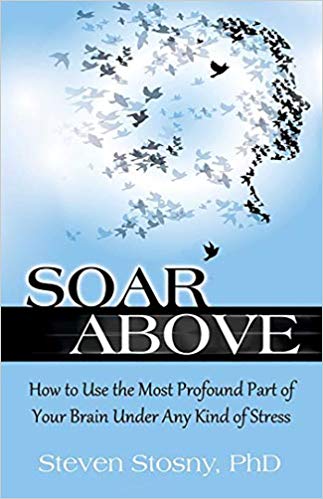 Soar Above: How to Use The Most Profound Part of Your Brain Under Any Kind of Stress